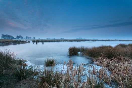 frozen wild lake in winter, Onlanden, Drenthe, Netherlands