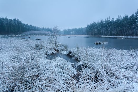 snow winter morning on lake, Friesland, Netherlands