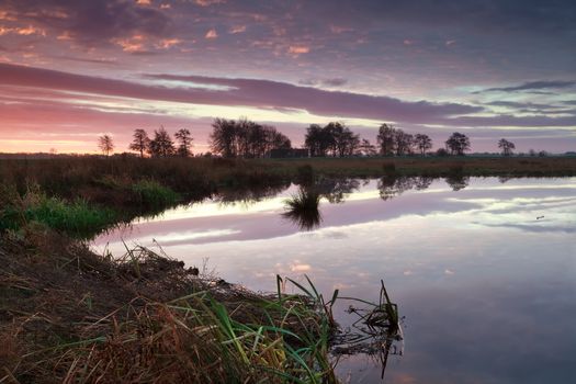 purple sunrise sky reflected in river, Onlanden, Drenthe, Netherlands