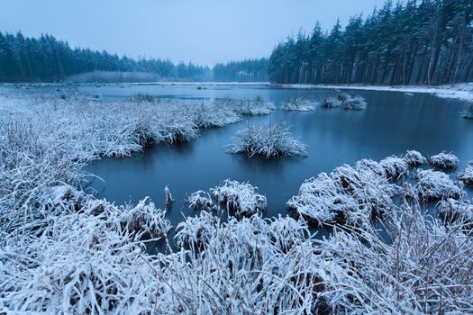 cold misty winter morning over wild lake
