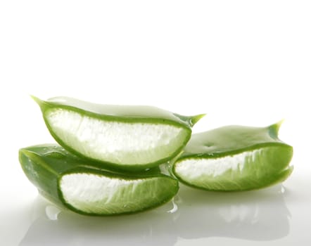Aloe vera plant isolated on white.