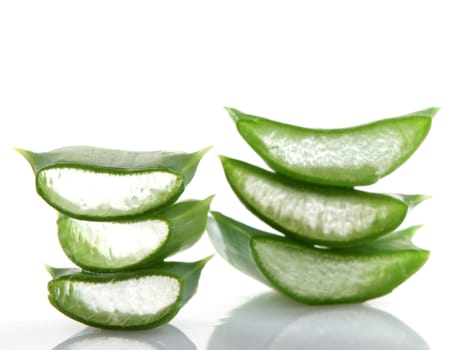 Aloe vera plant isolated on white.