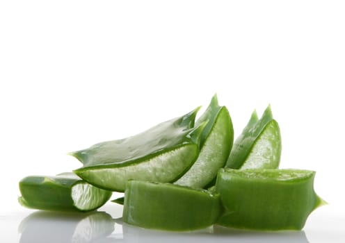 Aloe vera plant isolated on white.