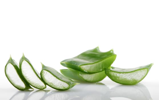 Aloe vera plant isolated on white.