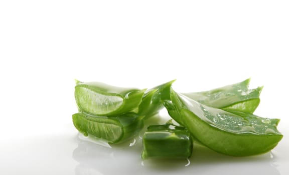 Aloe vera plant isolated on white.