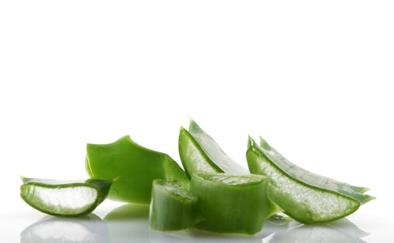 Aloe vera plant isolated on white.