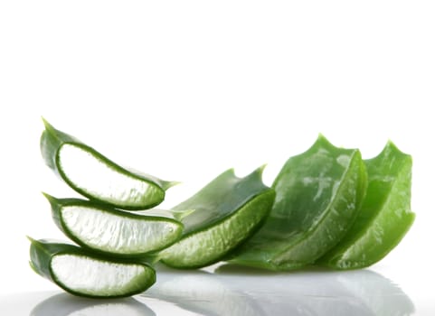Aloe vera plant isolated on white.