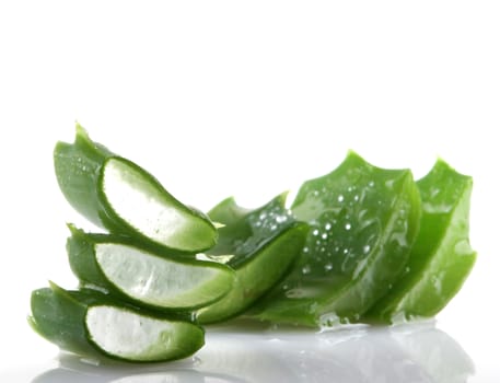 Aloe vera plant isolated on white.