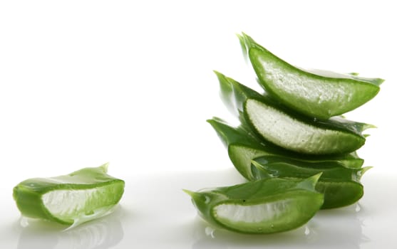 Aloe vera plant isolated on white.