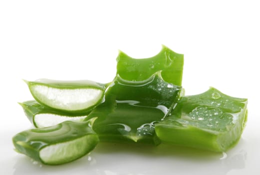 Aloe vera plant isolated on white.