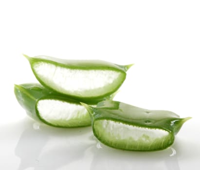 Aloe vera plant isolated on white.