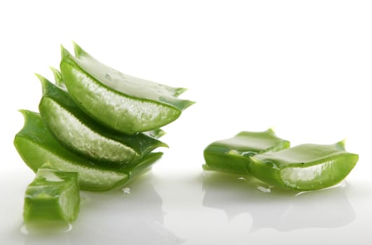 Aloe vera plant isolated on white.