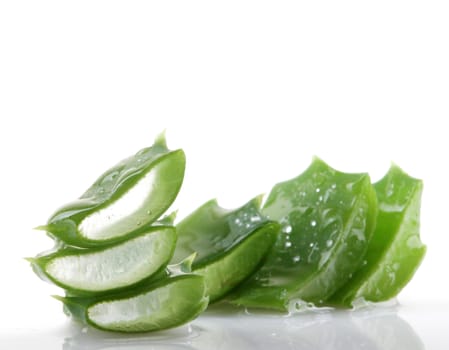 Aloe vera plant isolated on white.