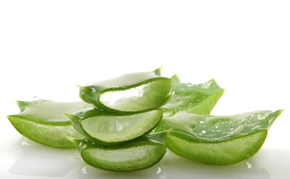 Aloe vera plant isolated on white.