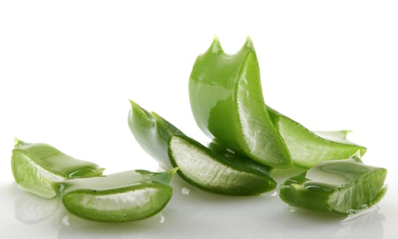 Aloe vera plant isolated on white.