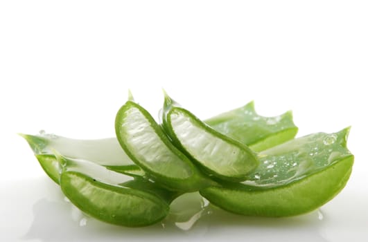 Aloe vera plant isolated on white.