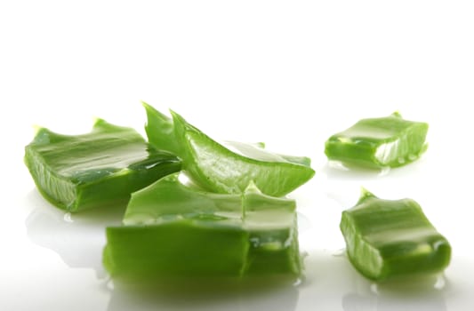 Aloe vera plant isolated on white.