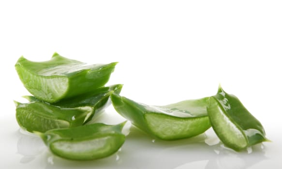 Aloe vera plant isolated on white.