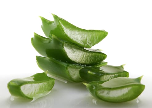 Aloe vera plant isolated on white.