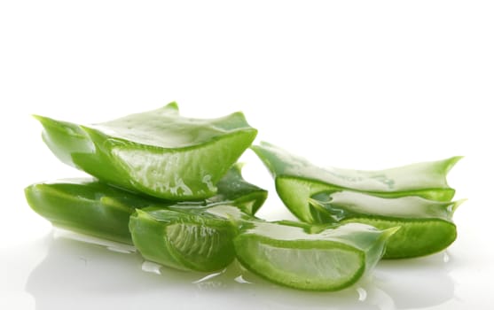 Aloe vera plant isolated on white.