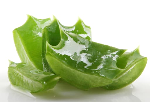 Aloe vera plant isolated on white.