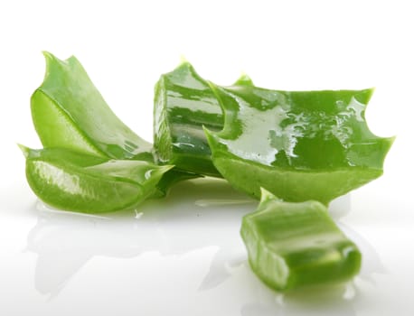 Aloe vera plant isolated on white.