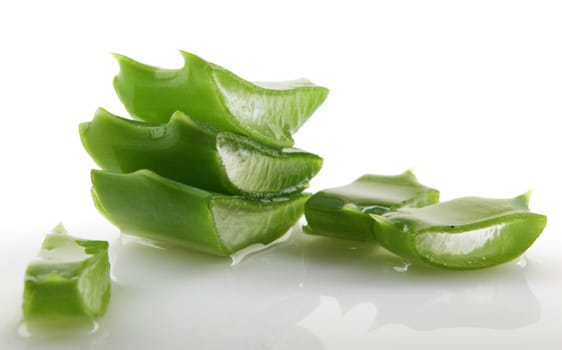 Aloe vera plant isolated on white.