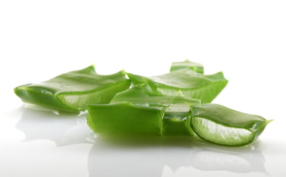 Aloe vera plant isolated on white.