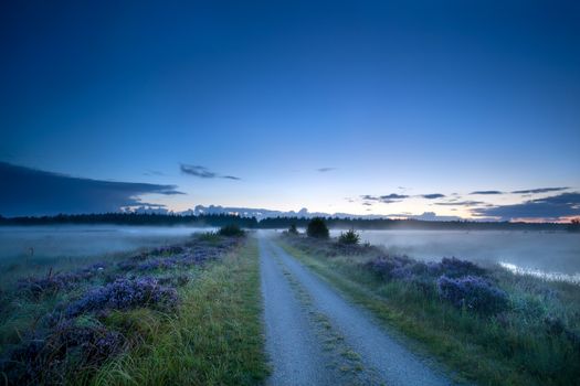 ground road in dusk through swamp, Drenthe, Netherlands