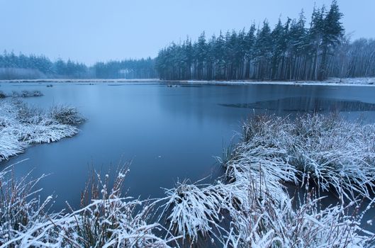 cold winter morning over wild lake, Friesland, Netherlands