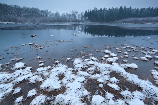 frozen wild lake in forest, Friesland, Netherlands