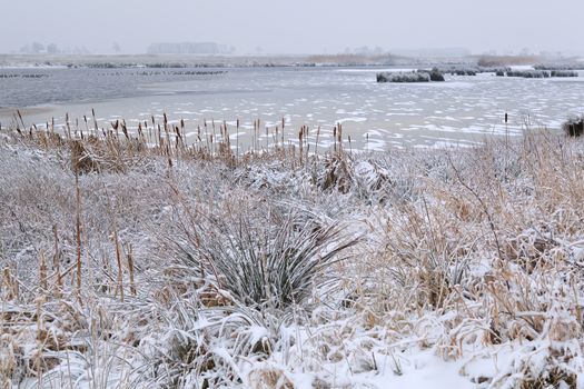 frozen lake in winter, Onlanden, Drenthe, Netherlands