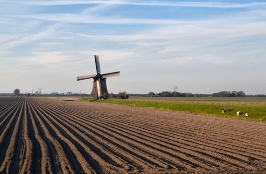 Dutch windmill by plowed field, North Holland