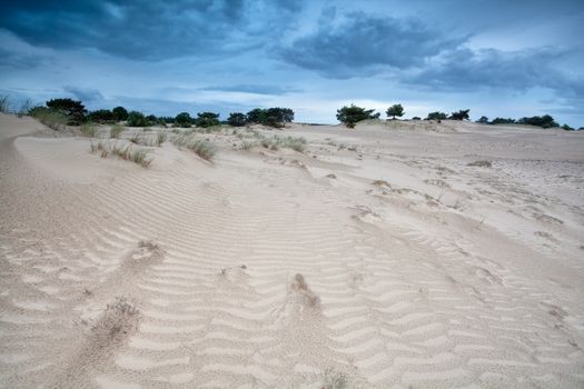 wind texture on sand dunes and blue sky, Drents-Friese Wold, Drenthe, Netherlands