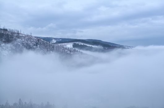 Harz mountains in dense winter fog, Germany