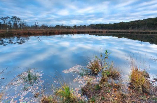 sky reflected in little lake, Drenthe, Netherlands