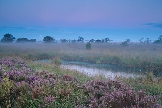 beautiful calm misty sunrise over swamp, Fochteloerveen, Drenthe, Netherlands