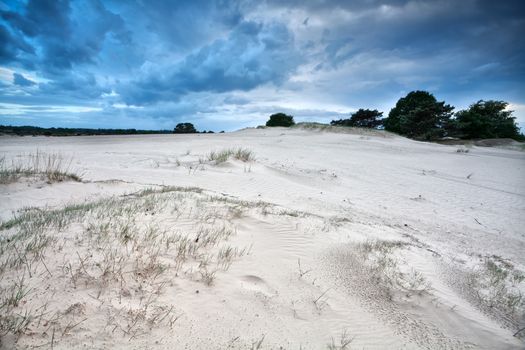 wind texture on sand dunes, Drents-Friese wold, Drenthe, Netherlands