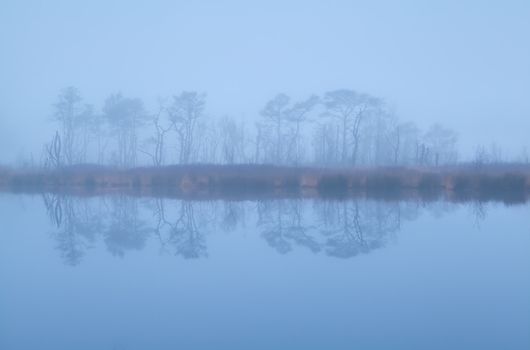 trees reflected in lake and dense fog, Apperbergen, Netherlands