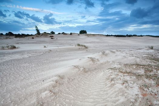 landscape with clouded sky and sand dunes, Drents-Friese wold, Drenthe, Friesland, Netherlands