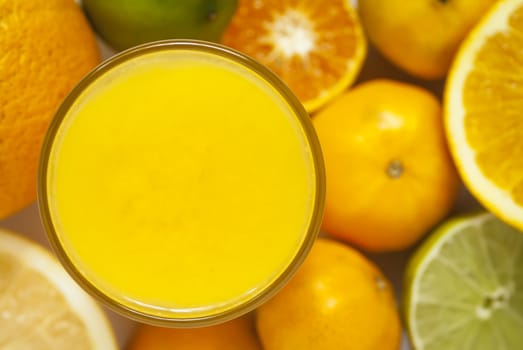 A glass with citrus fruit with grapefruit,orange,lemon and mandarin.