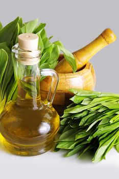 Oil, fresh leaves of wild garlic with mortar and pastle