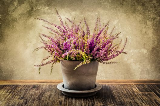 Post process painting of heather flower in pot with textured wall background, vintage style