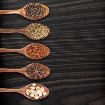 Set of 5 spices on a wooden spoon, on wood background