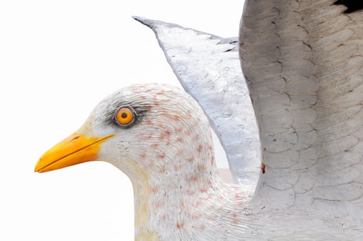 Bird, Seagull statue on the write background