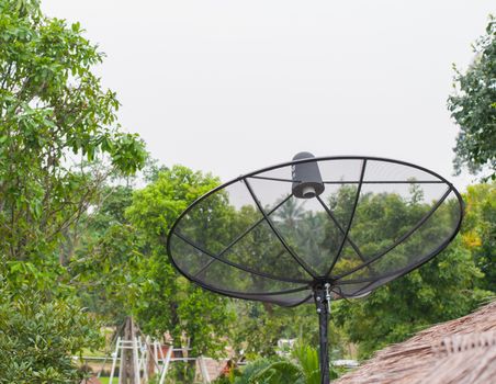 satellite dish on the roof and tree