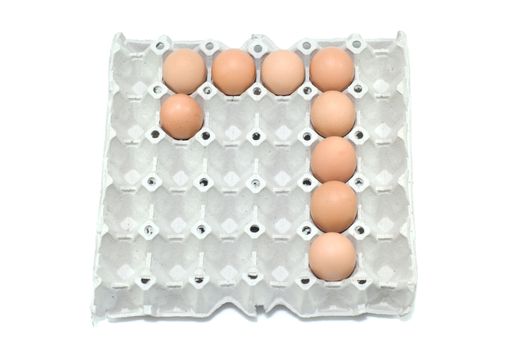 7 , eggs number on white background