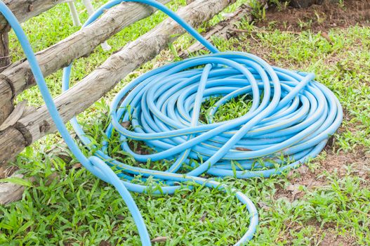 Rubber tube on the lawn green