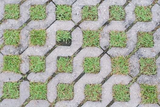 Cobble road with grass growing between cobbles