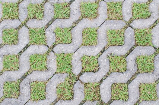 Cobble road with grass growing between cobbles